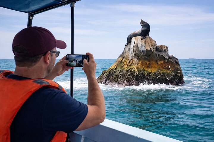 Cabo Boat Ride to El Arco and Lover’s Beach with Swimming