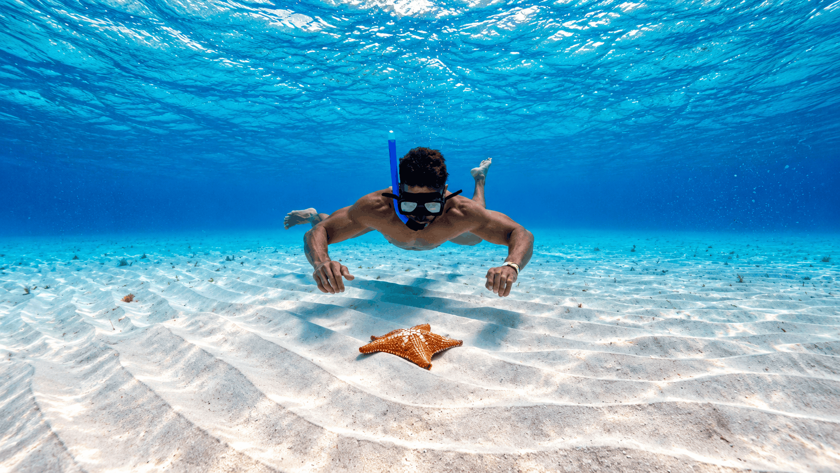 Cozumel Snorkeling Tour — Reef & El Cielo Starfish Sandbar