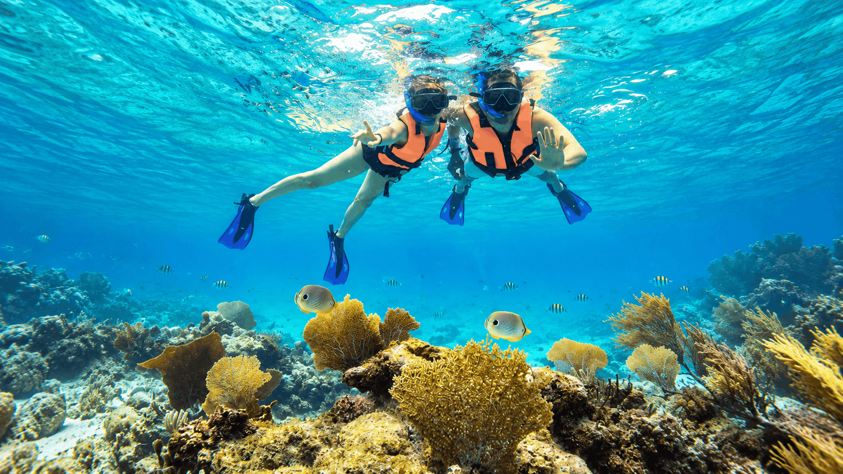 Turks and Caicos Boat Charter for Groups — Up to 13 Guests