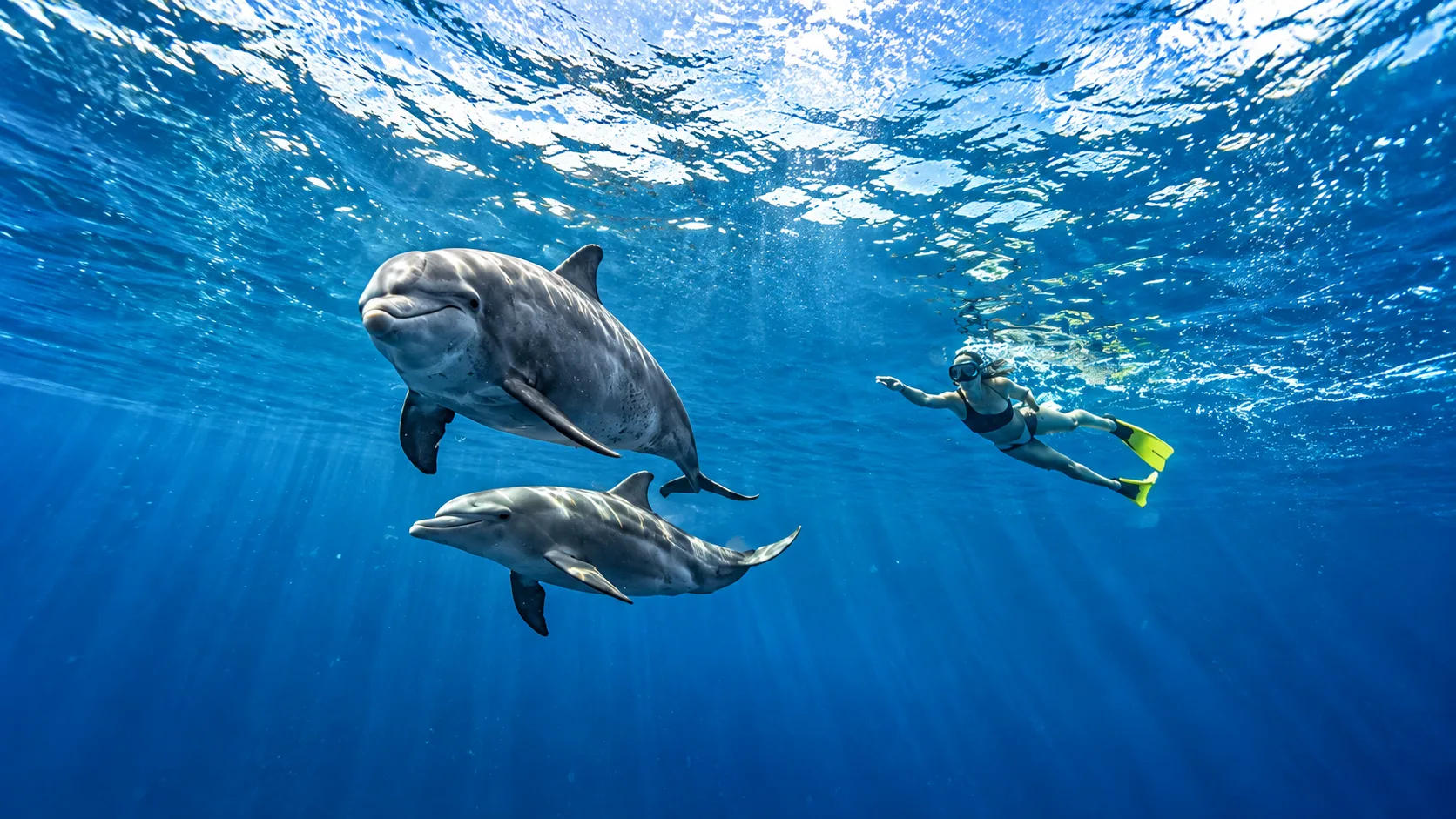 Private North Islands Boat Tour Mauritius: Bonanza Discovery