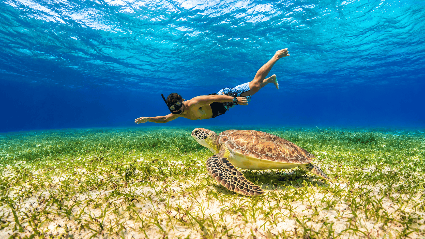 Cozumel Snorkeling Tour — Reef & El Cielo Starfish Sandbar