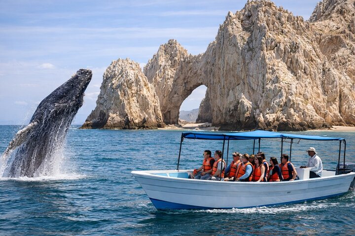 Pacific Ocean Whale Watching