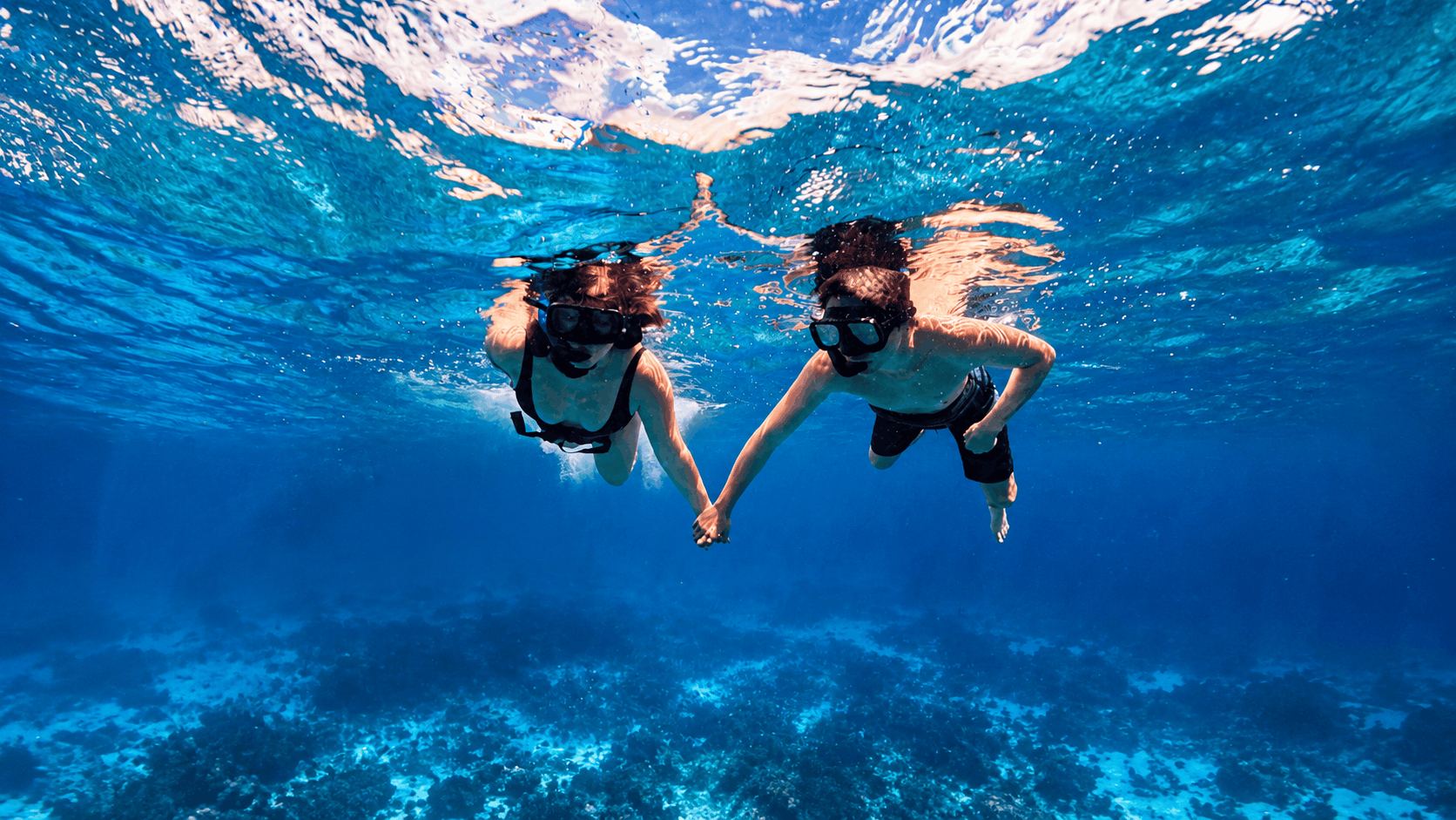 Snorkel — Paradise reef