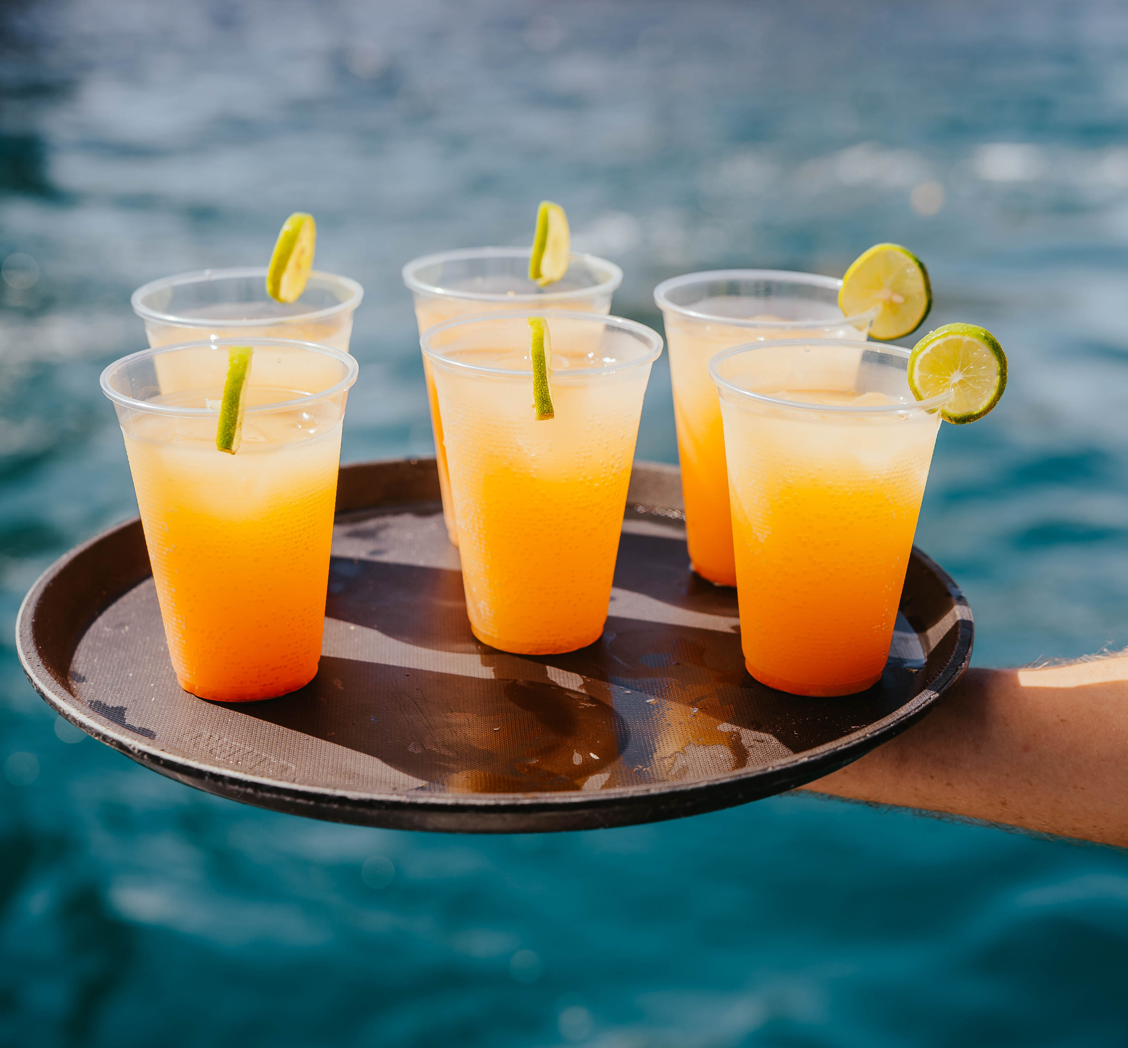 Private Catamaran Snorkeling Tour, Cabo San Lucas