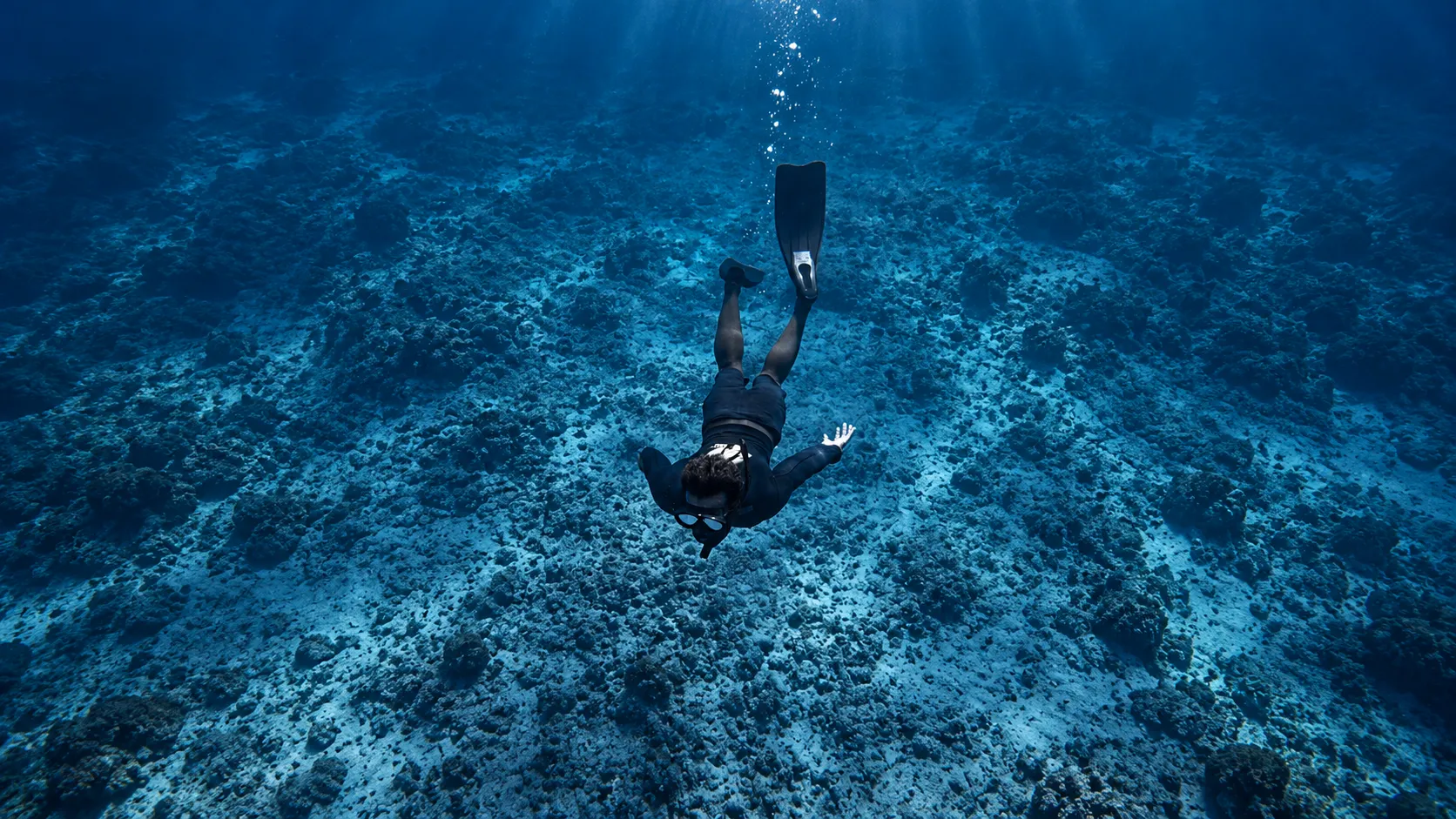 Snorkel, paddle, swim