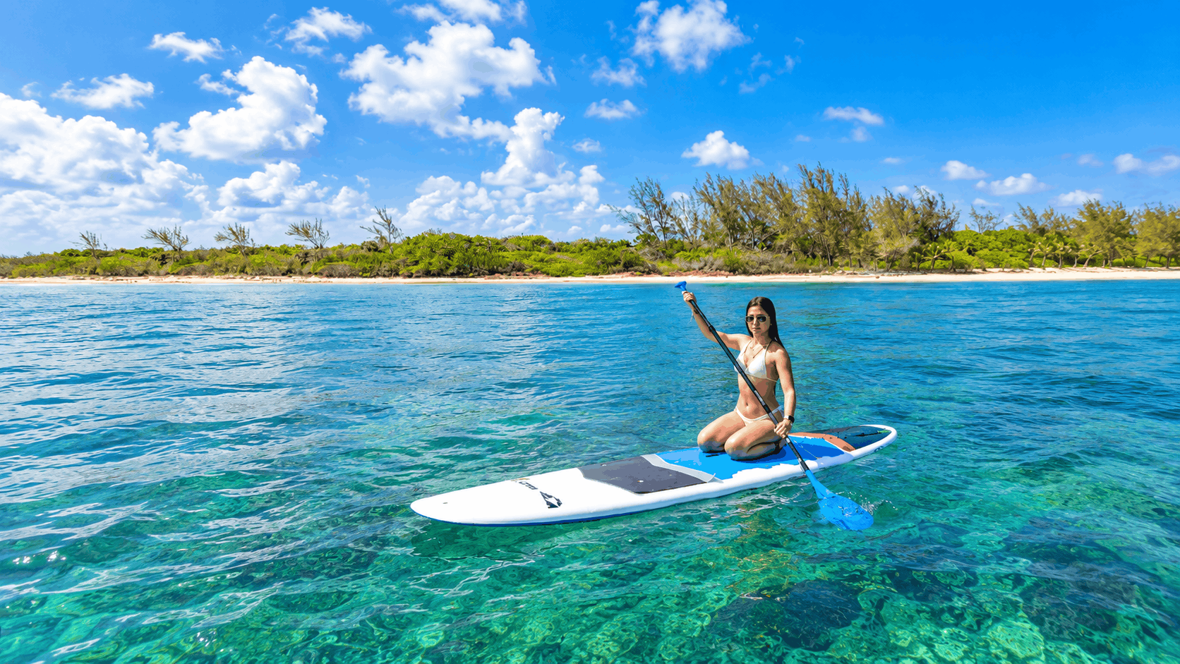 Riviera Maya Luxury Sailing & Snorkeling — Reef, Paddleboard & Open Bar