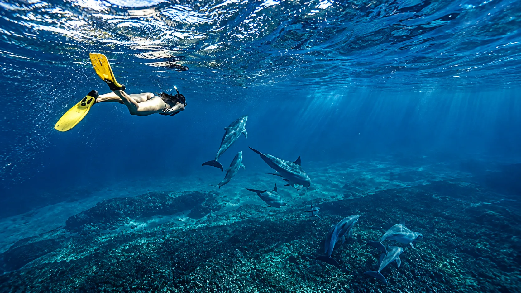 Private North Islands Boat Tour Mauritius: Bonanza Discovery