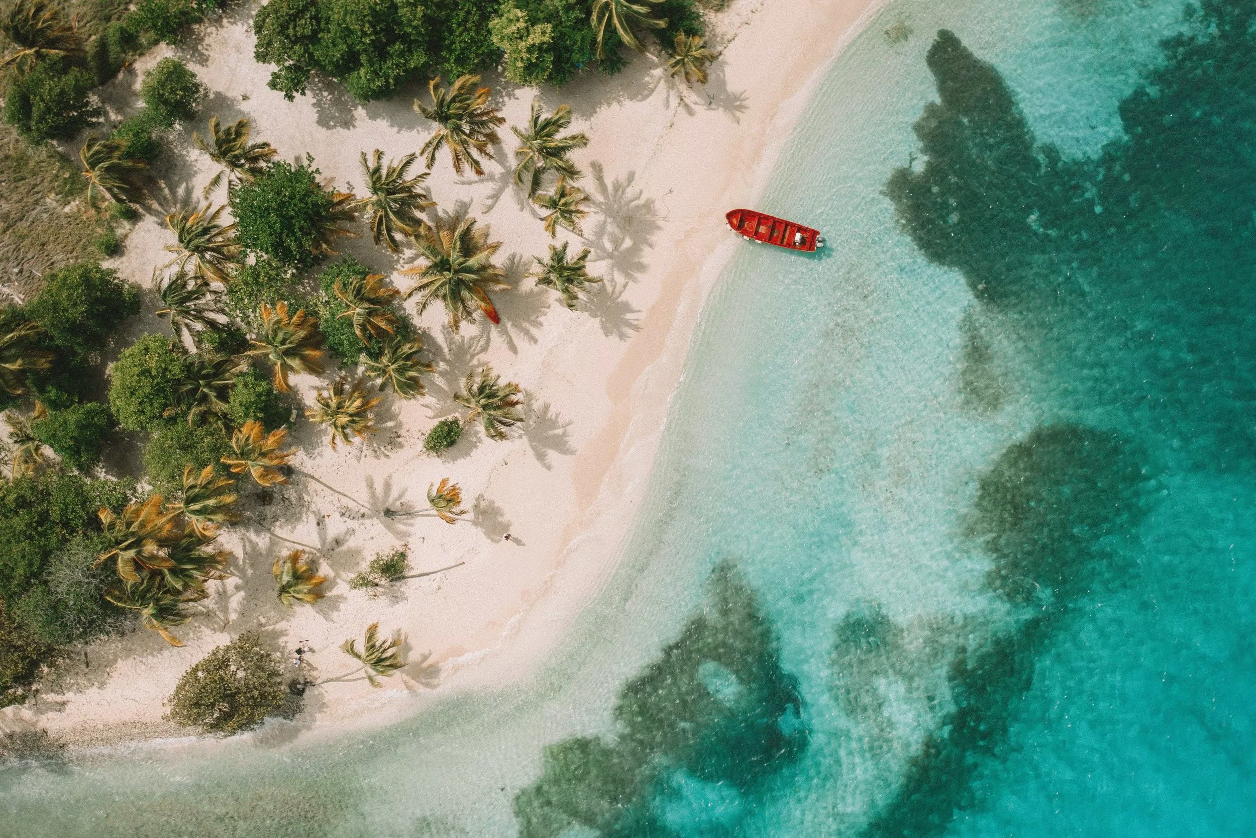 Tobago Cays Private Boat Day Trip from Bequia