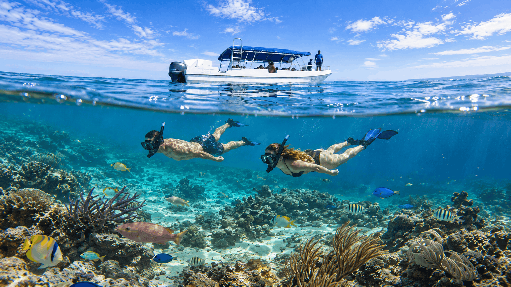 Reef snorkel