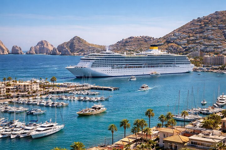 Whale Watching in Cabo: 2-Hour Small Group Tour to The Arch