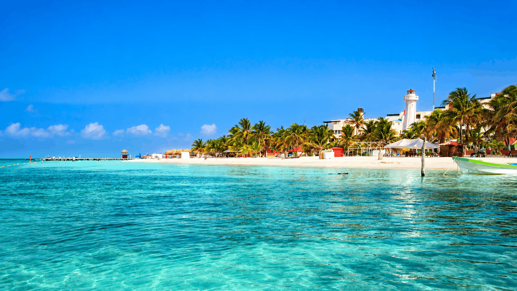 Cancun Whale Shark Tour — Swim with Whale Sharks (Jun–Sep)