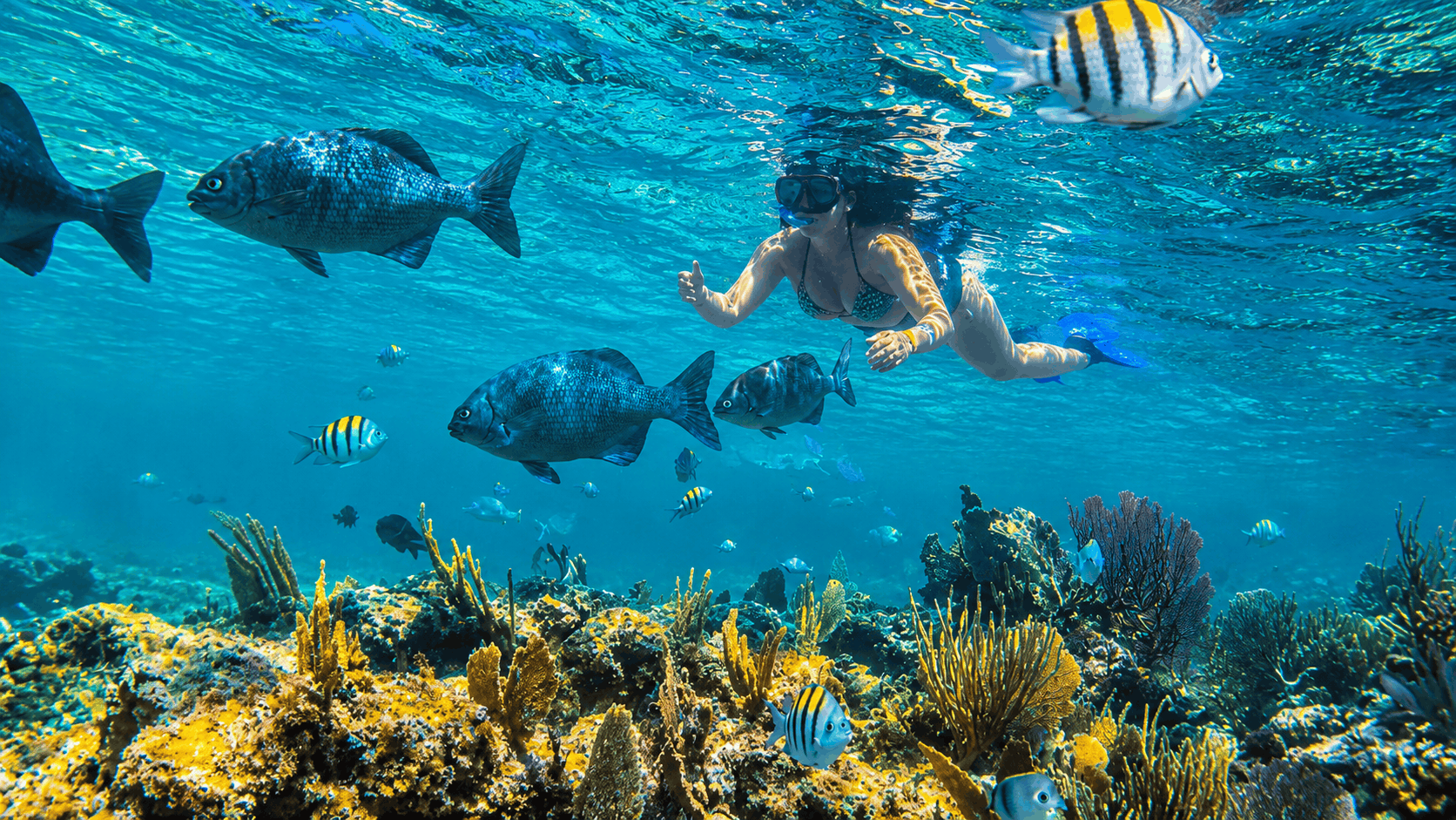 Turks and Caicos Private Fishing Charter & Island Adventure