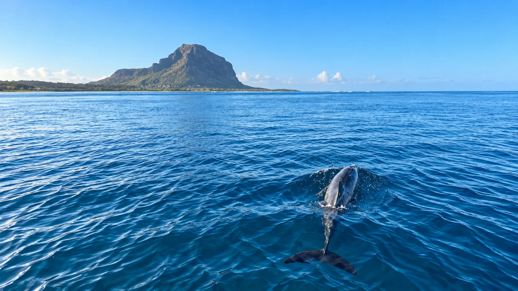 Private North Islands Boat Tour Mauritius: Bonanza Discovery