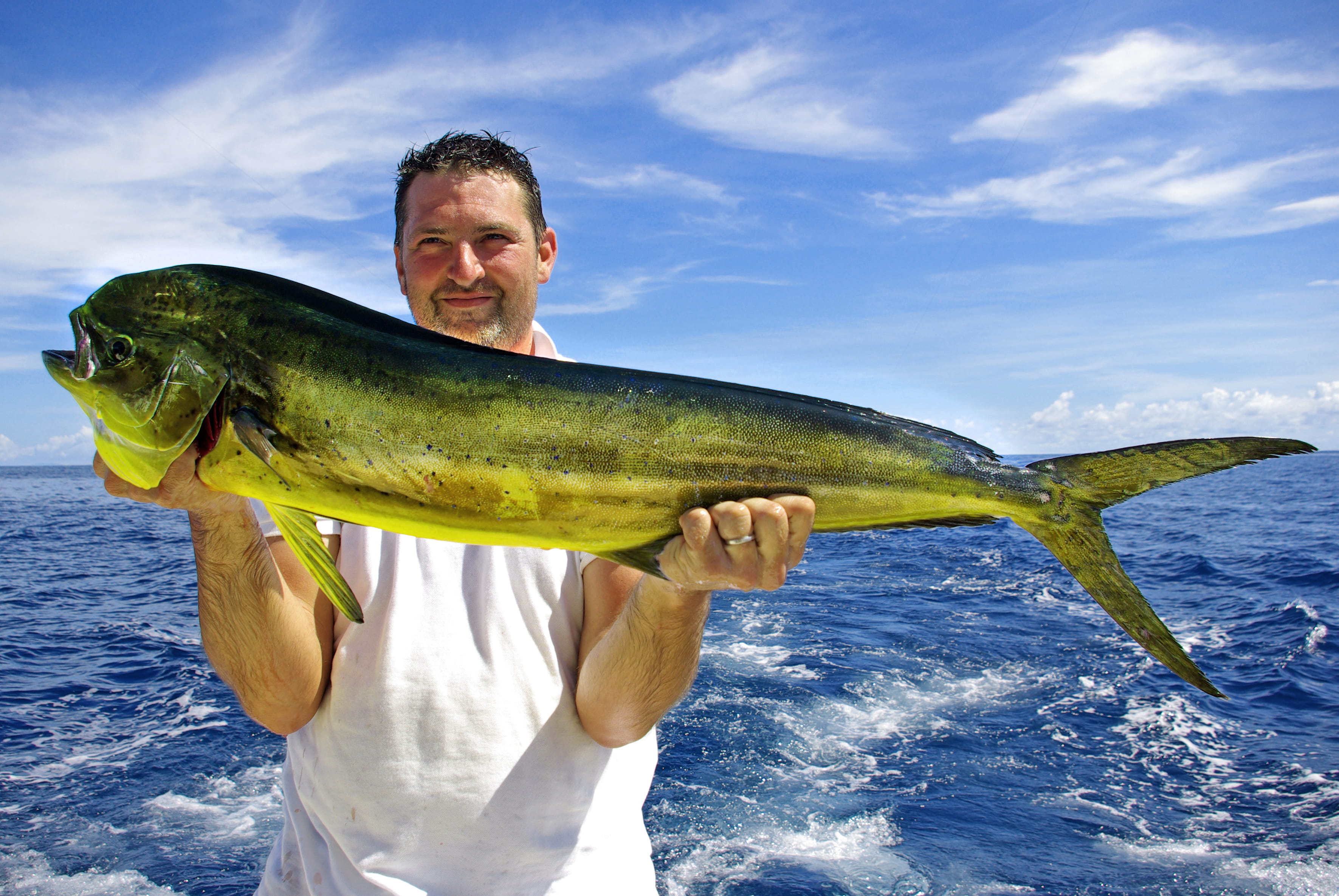 Cabo Rojo Excursions: Private Deep-Sea Fishing from the Pier