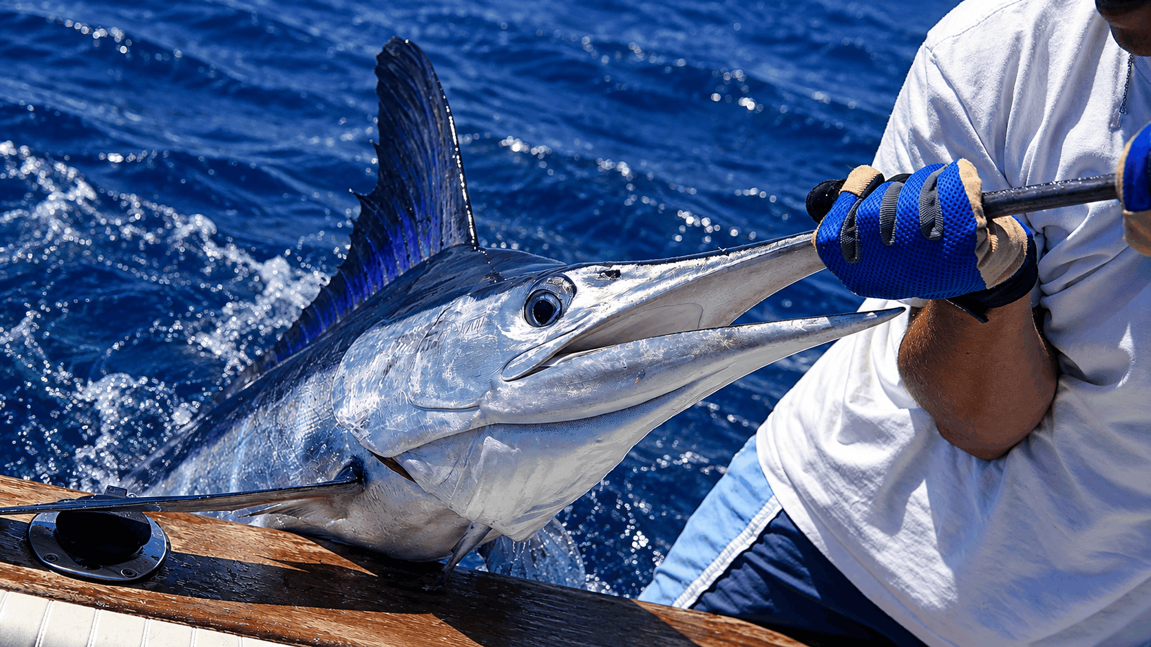 Turks and Caicos Private Fishing Charter & Island Adventure