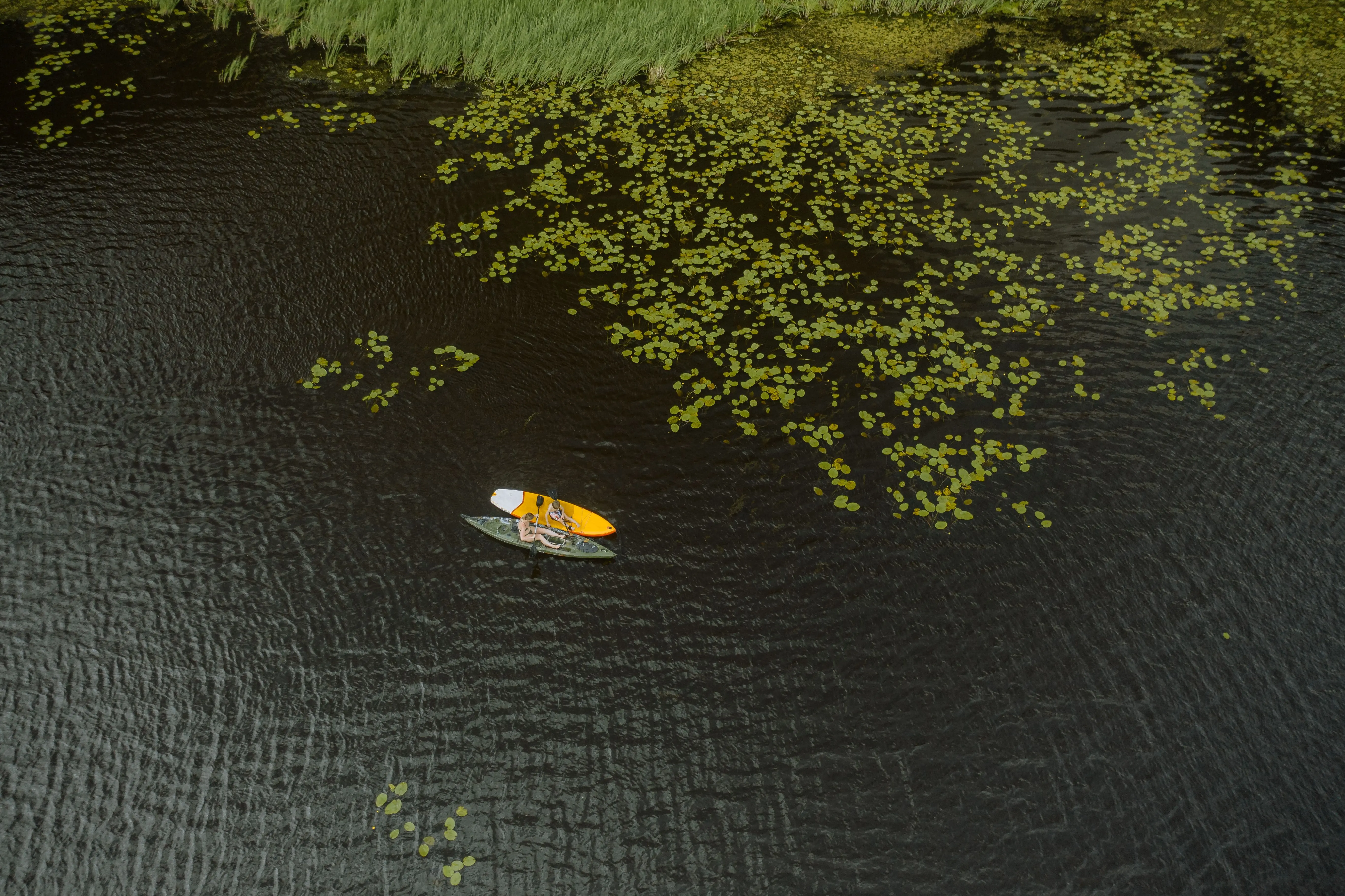 Board at L’Estuaire, Black River