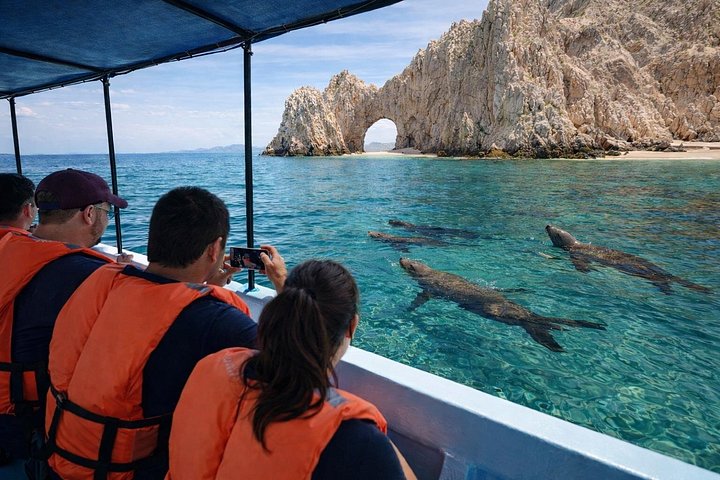 Cabo Boat Ride to El Arco and Lover’s Beach with Swimming