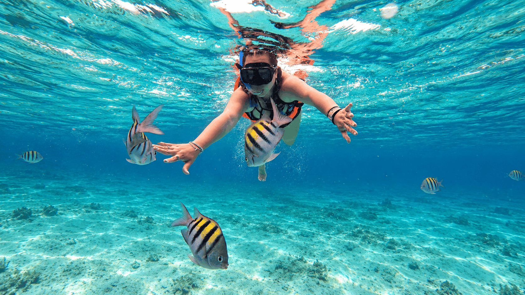 Private Snorkel Boat Cabo for Families: Santa Maria Bay 4h
