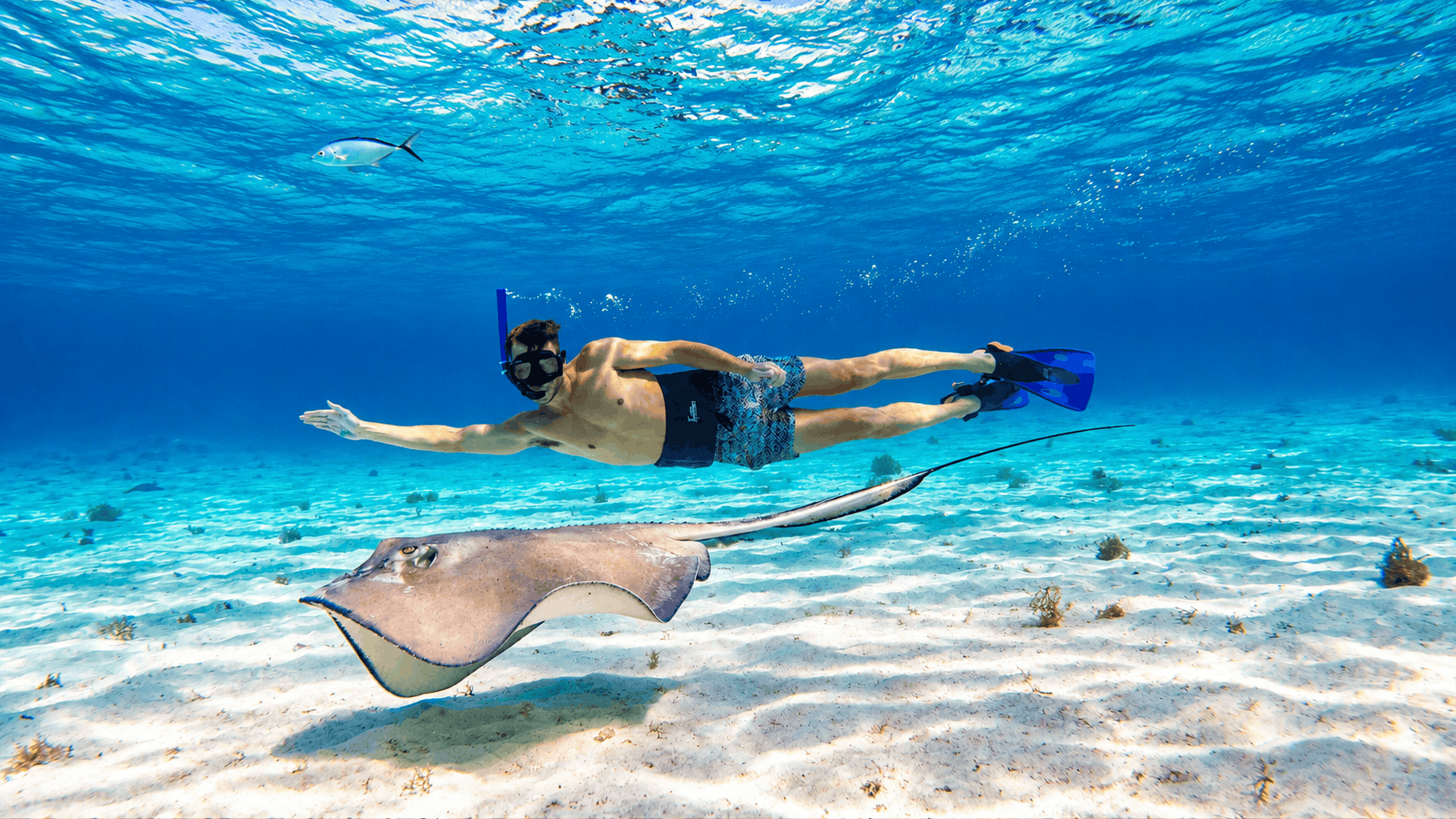 Cozumel Snorkeling Tour — Reef & El Cielo Starfish Sandbar
