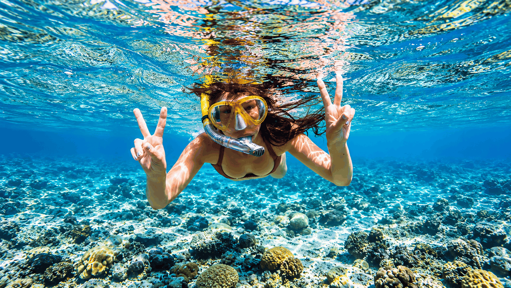 Cancun Snorkel Safari — Speedboat & Reef Snorkeling