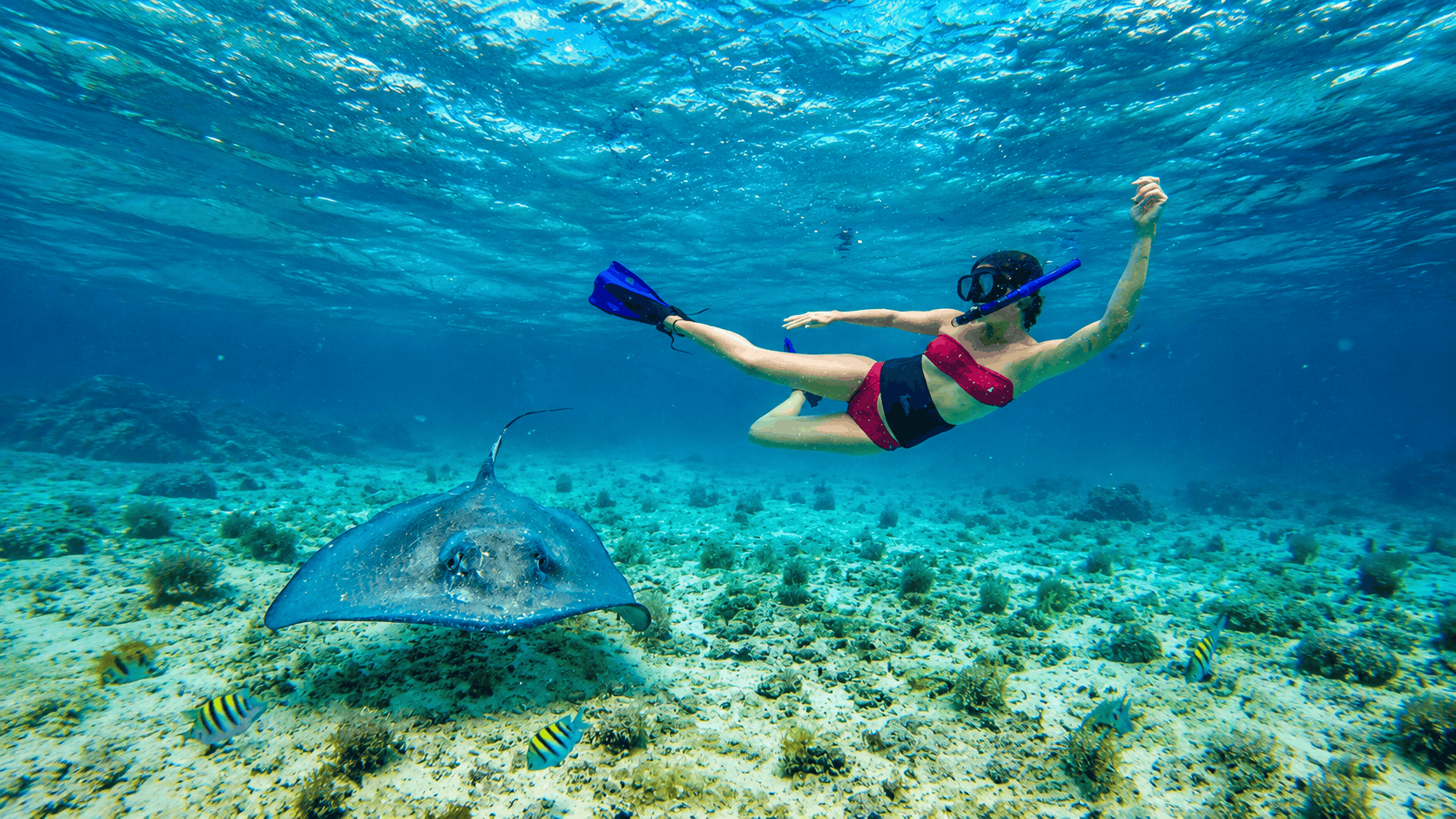 Turks and Caicos Private Boat Tour