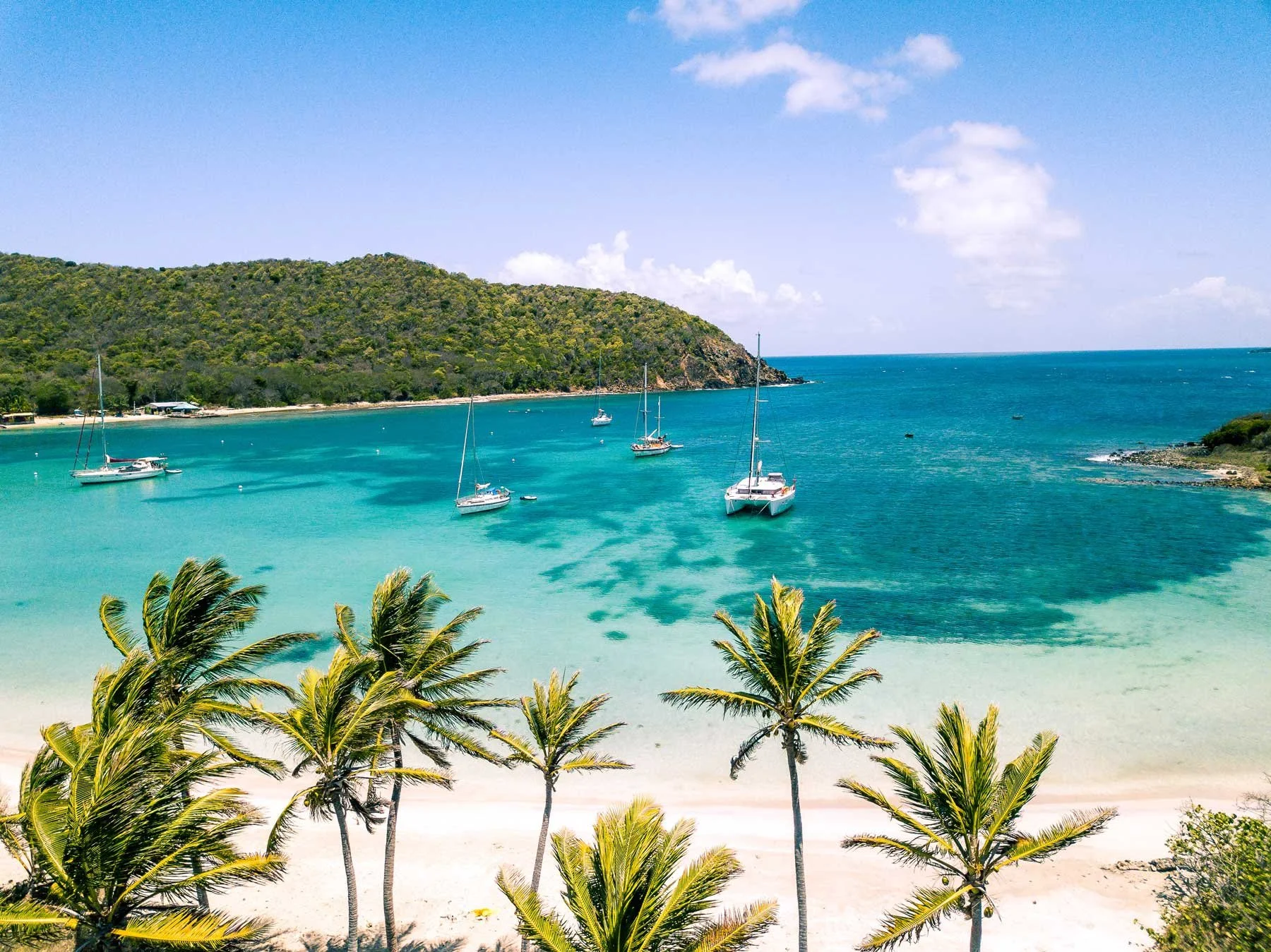 Tobago Cays Private Boat Day Trip from Bequia