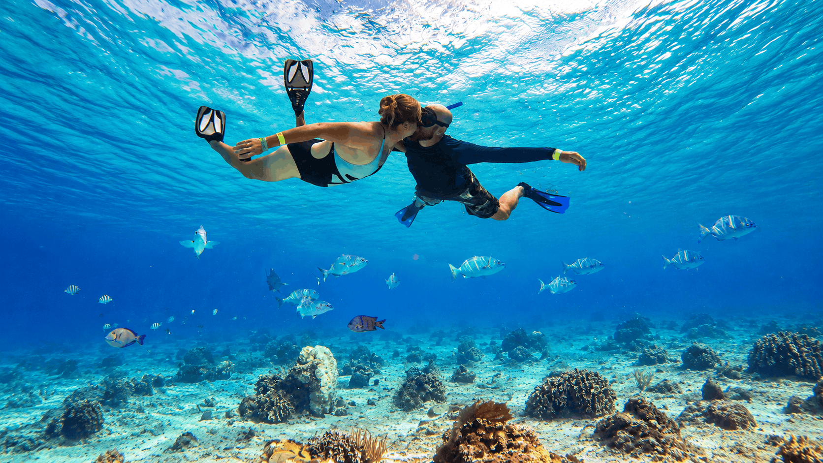 Cozumel Snorkeling Tour — Reef & El Cielo Starfish Sandbar