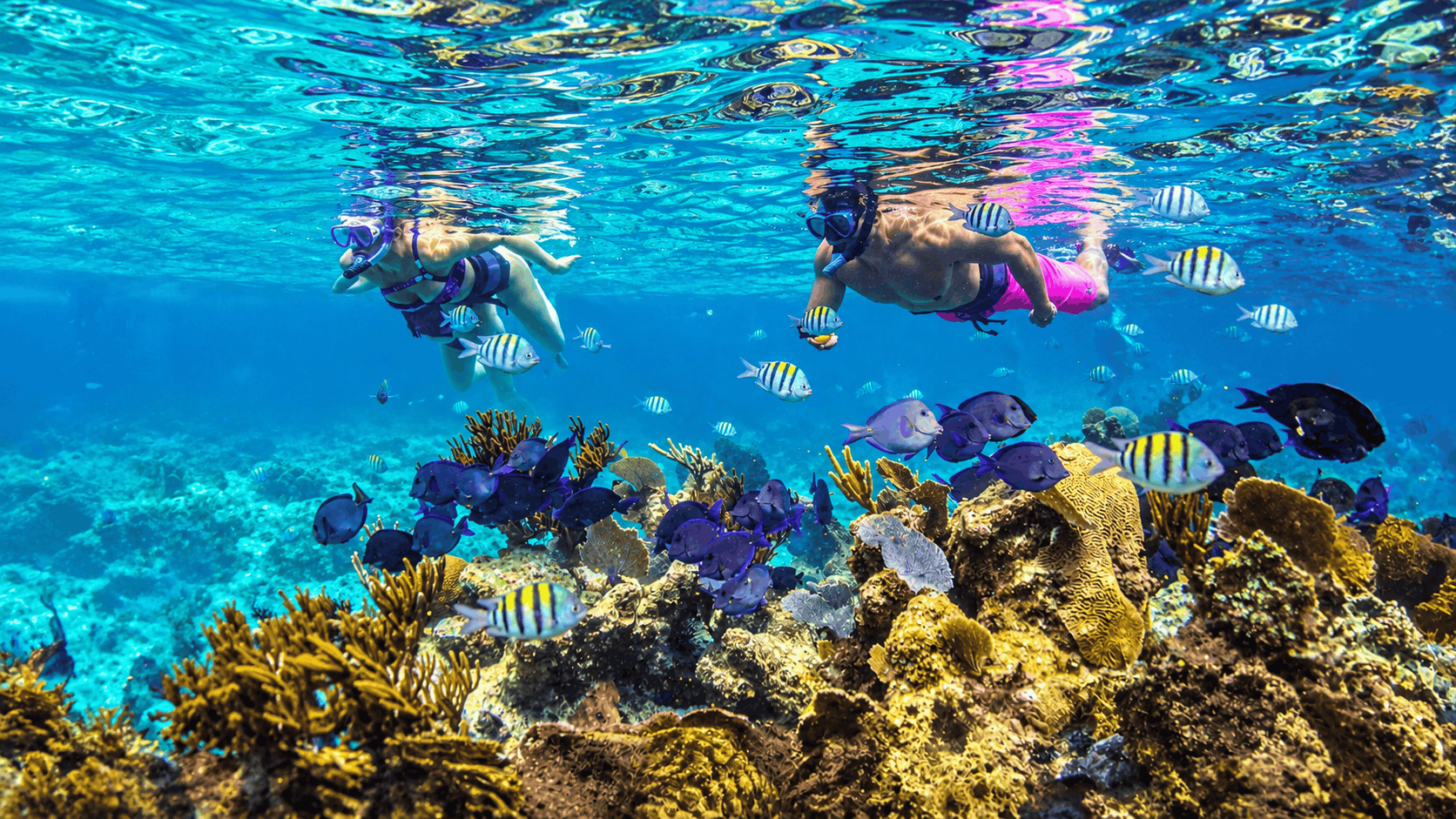 Swim, float and relax