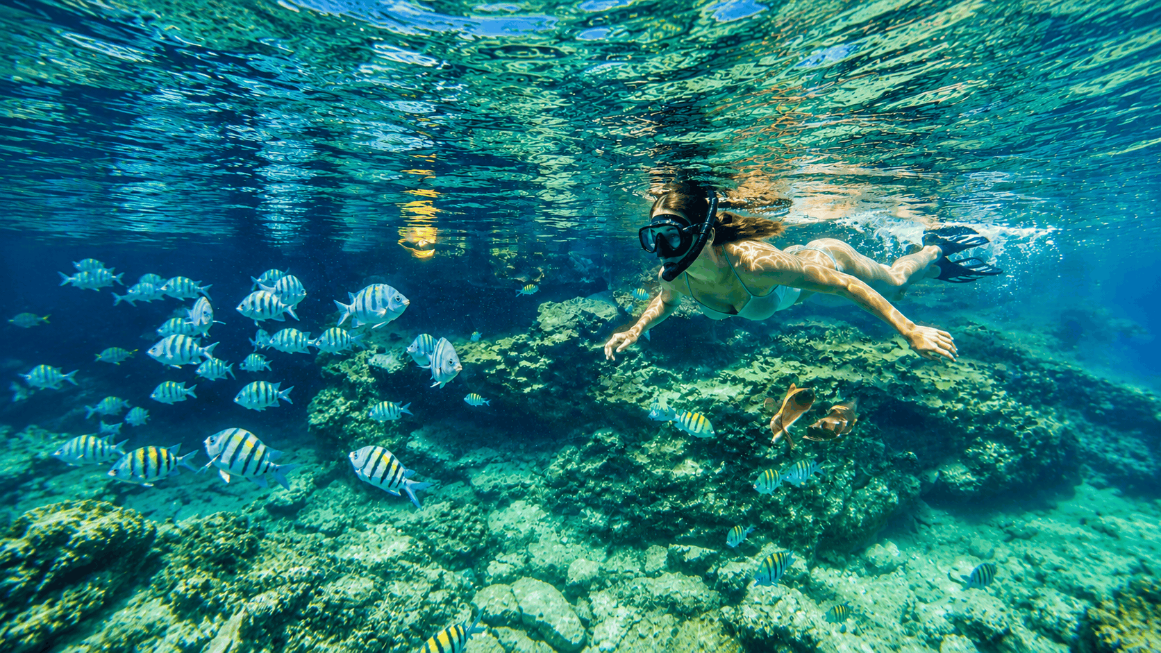 Cancun Snorkel Safari — Speedboat & Reef Snorkeling