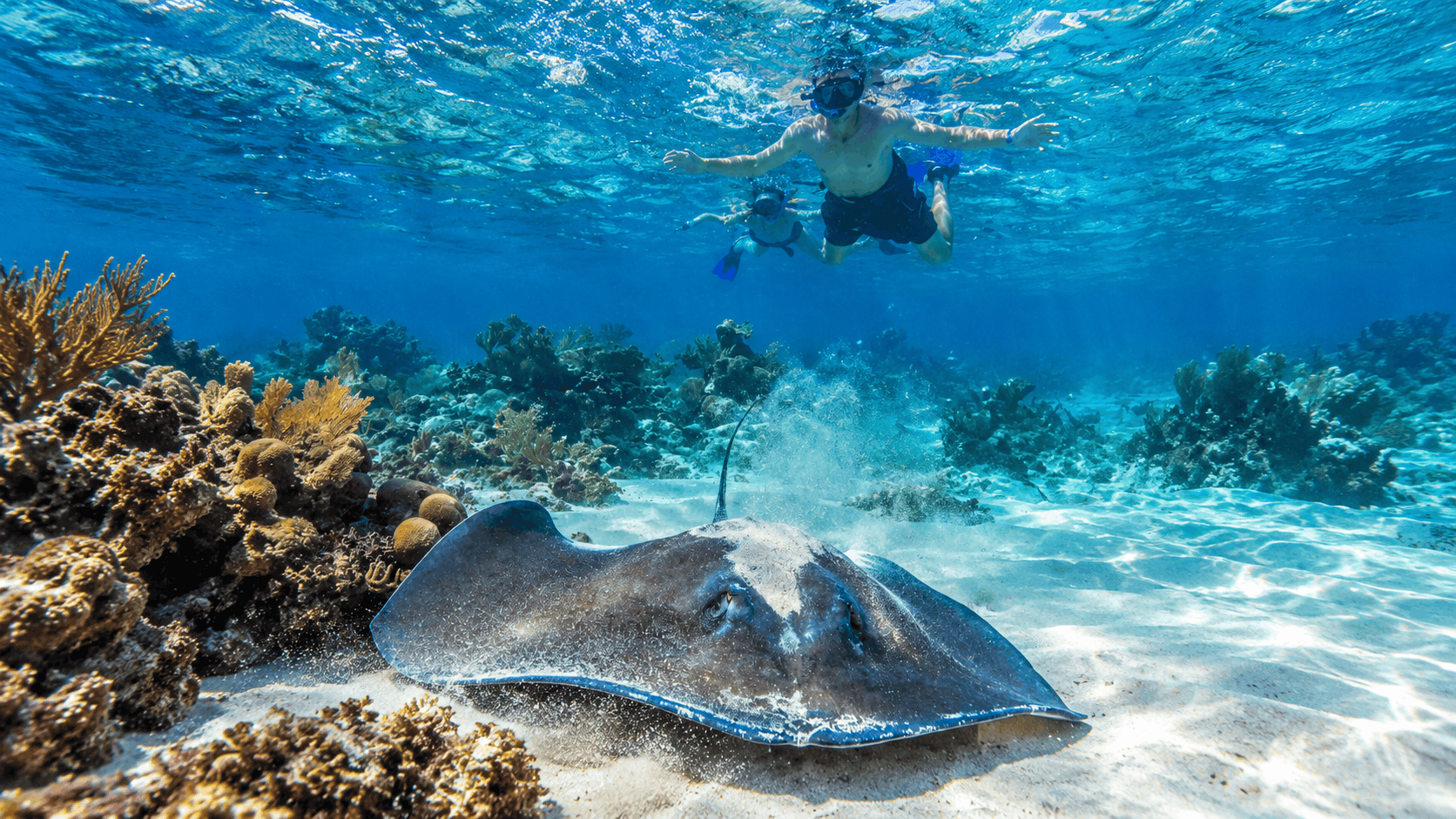 Turks and Caicos Private Fishing Charter & Island Adventure
