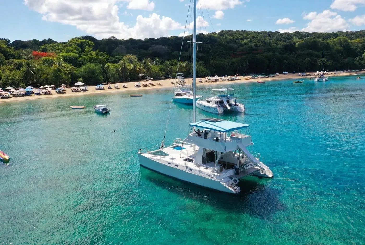 Catamaran anchored off a palm-lined beach near Puerto Plata, Dominican Republic