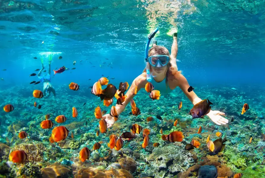 7. Explore the Vibrant Marine Life on a Snorkeling or Diving Catamaran