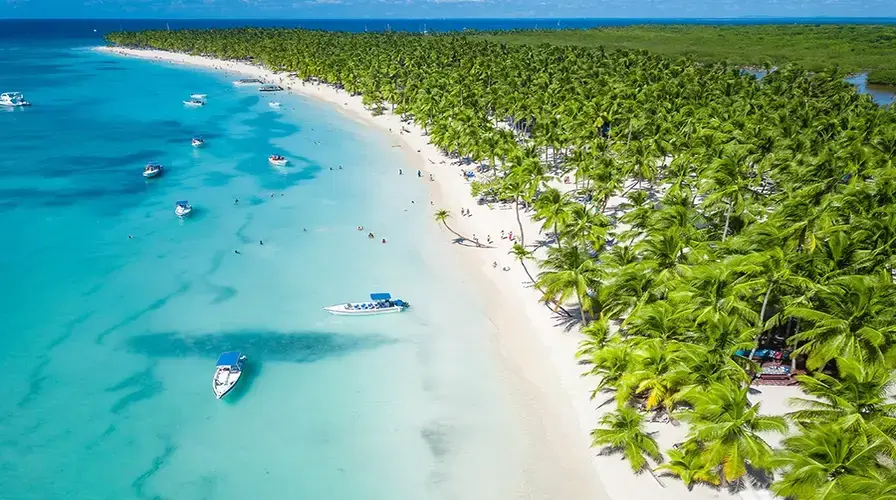 1. Saona Island Tour - Top Must-See Punta Cana Excursions and Activities in 2025
