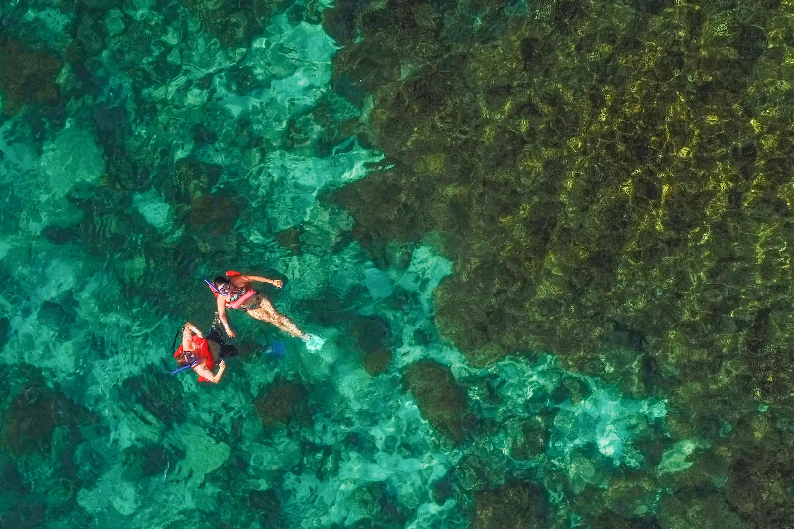Overhead view of two snorkelers in red vests floating above a reef in clear green water