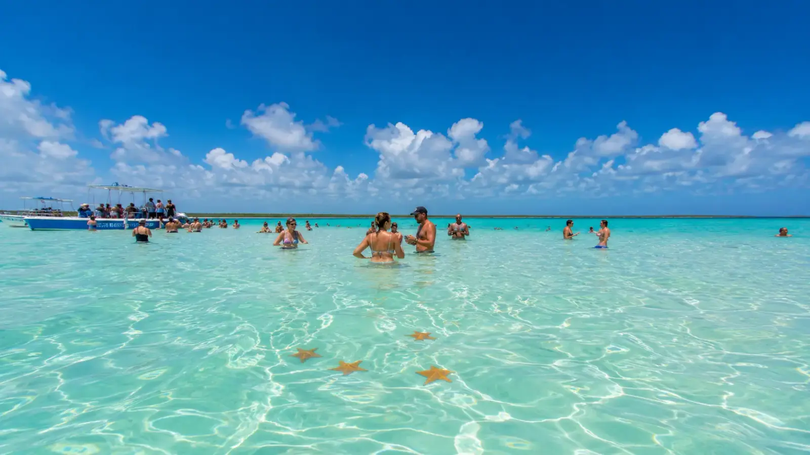 Tourists wading in the shallow turquoise water of Isla Saona Piscina Natural with starfish visible on the sandbar.