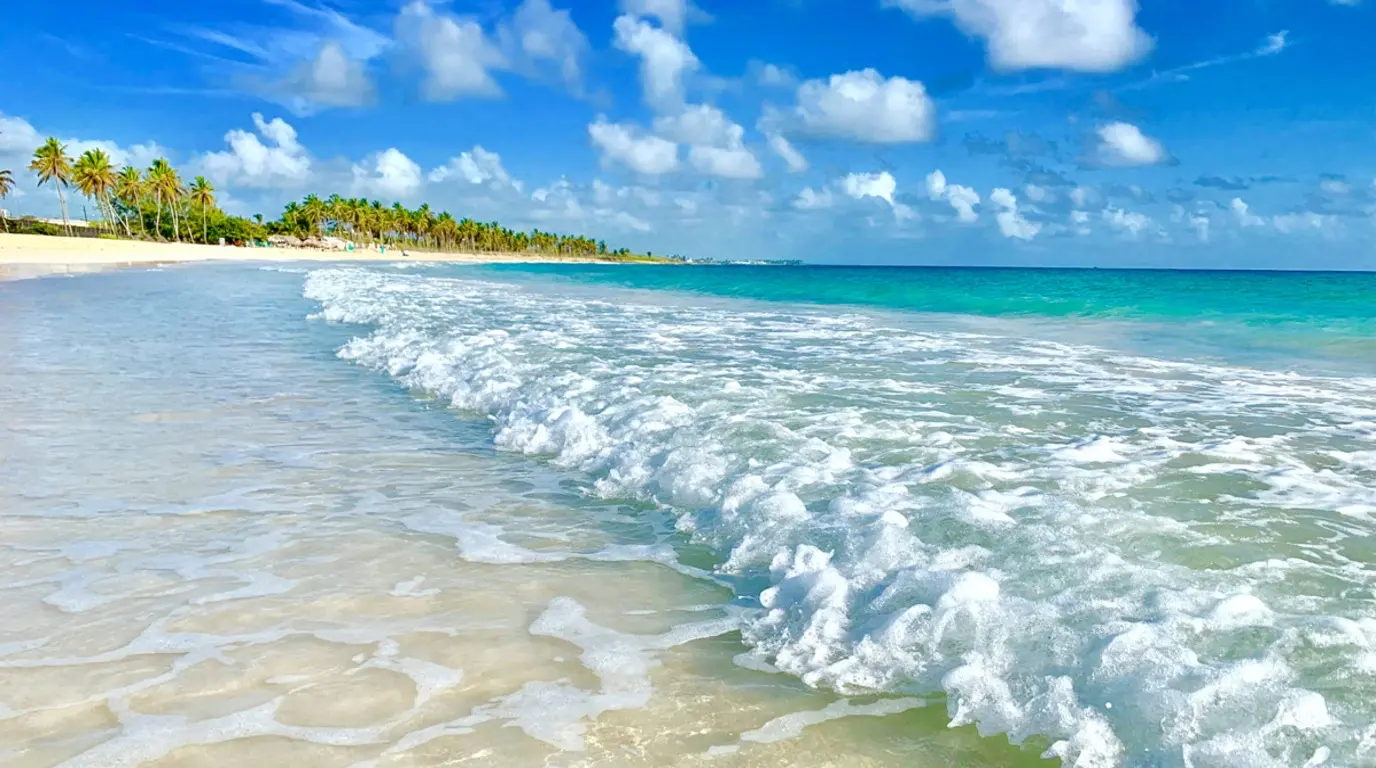 Foamy wave rolling onto white sand with clear turquoise water and a palm-lined shore in Punta Cana