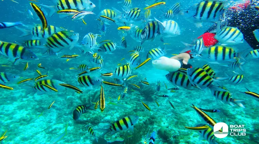 Secret Coves at Catalina Island - Hidden Gems Beyond the Tourist Trail - things to do in Dominican Republic