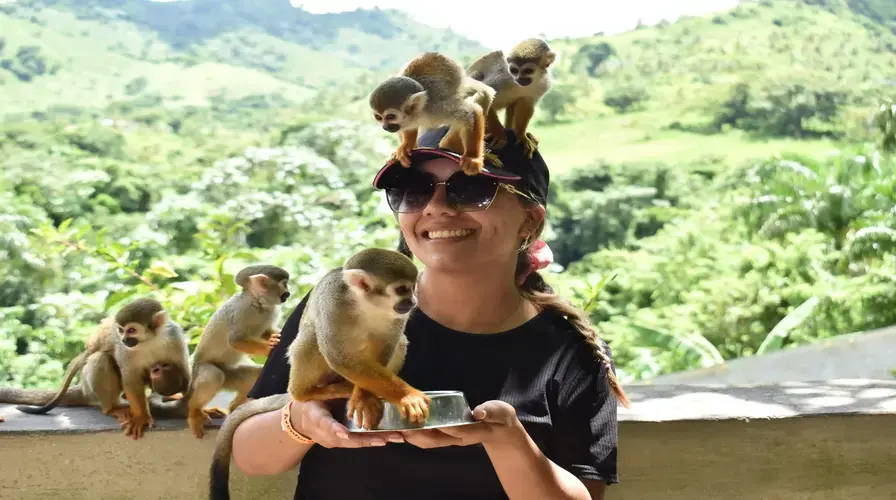 2. Adventure Bundle Monkeyland, Ziplines & Buggy Tours - Top Must-See Punta Cana Excursions and Activities in 2025