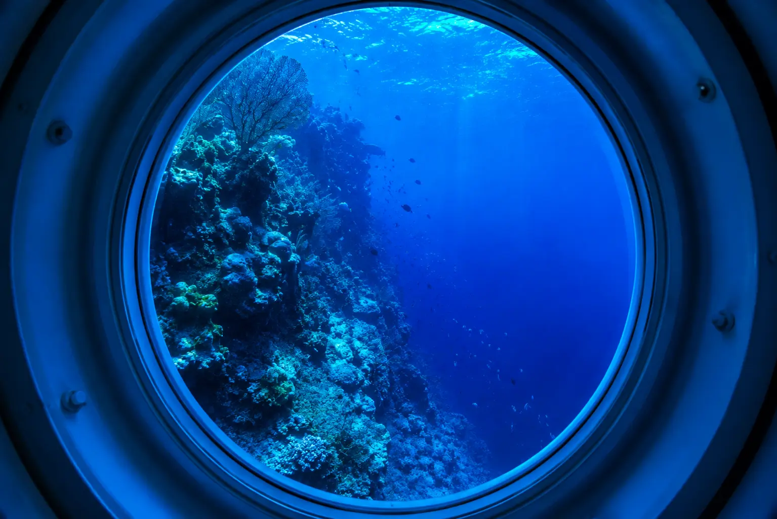 Coral reef wall dropping into deep blue water, seen through a round submarine porthole