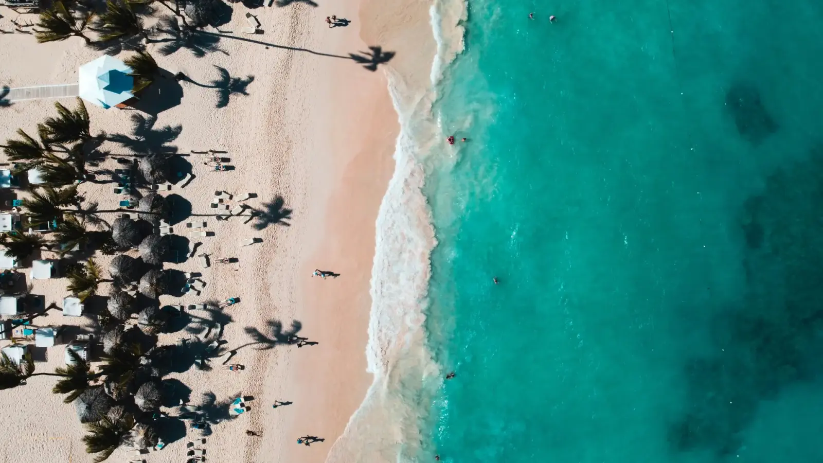 Aerial view of palm trees, thatched umbrellas and sun loungers along a Punta Cana beach meeting turquoise surf