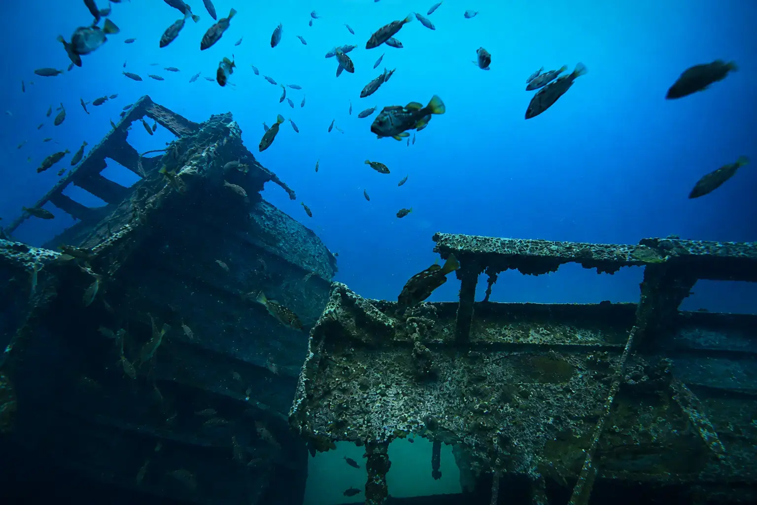 Antilla Shipwreck Aruba Guide – Rusted Antilla shipwreck underwater in Aruba surrounded by tropical fish.