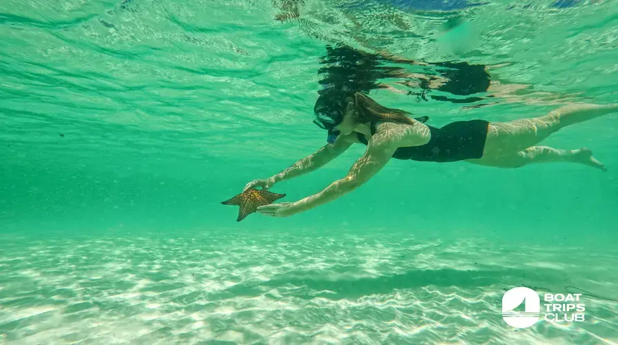 1. Ultimate Beach and Snorkeling Escapes - Top Things to Do in Punta Cana in July