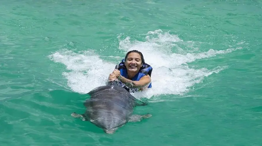 5. Dolphin Explorer Park - Top 10 Punta Cana Excursions for Families