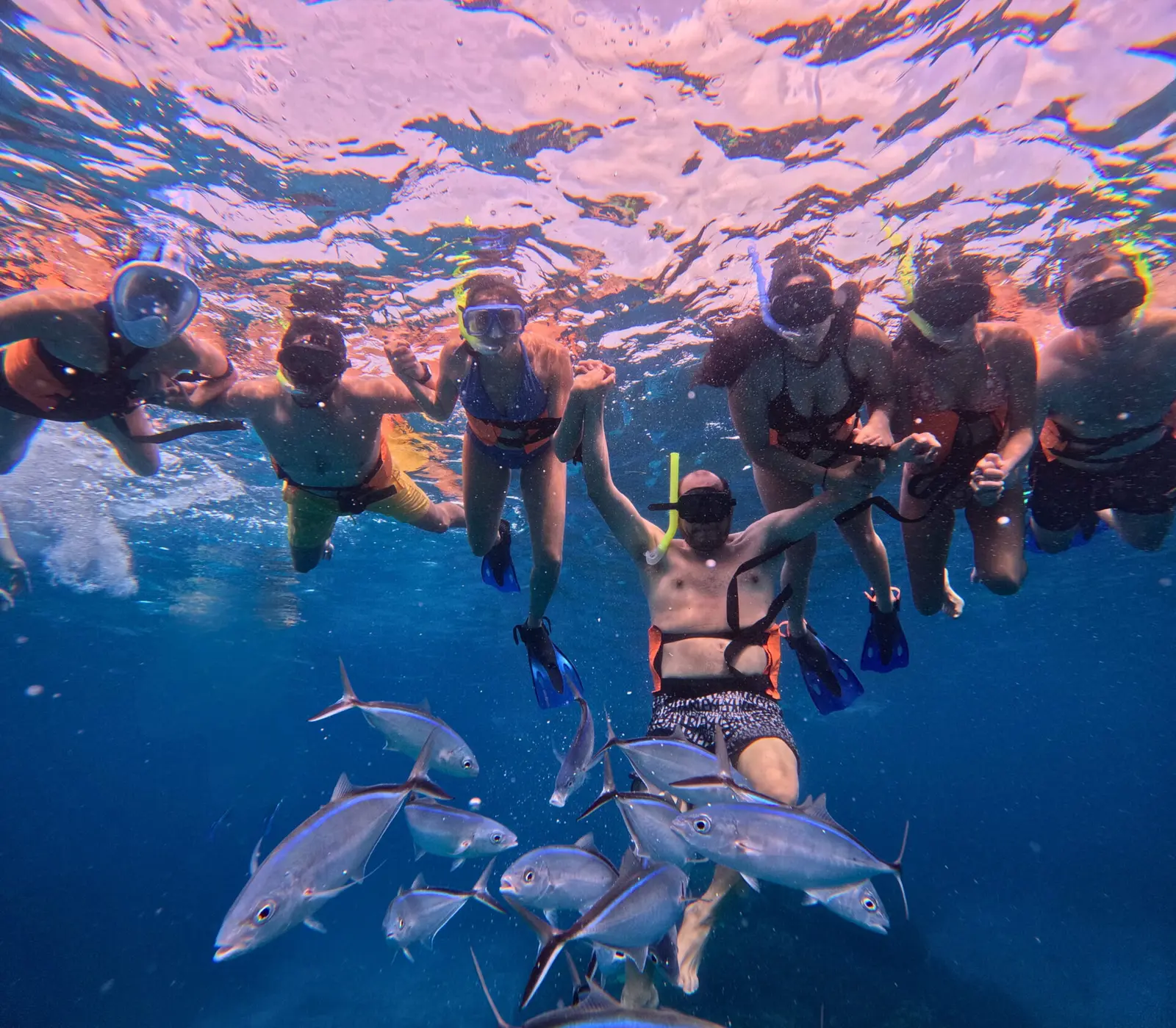 Group of masked snorkelers at the surface as a school of silver fish swims below them