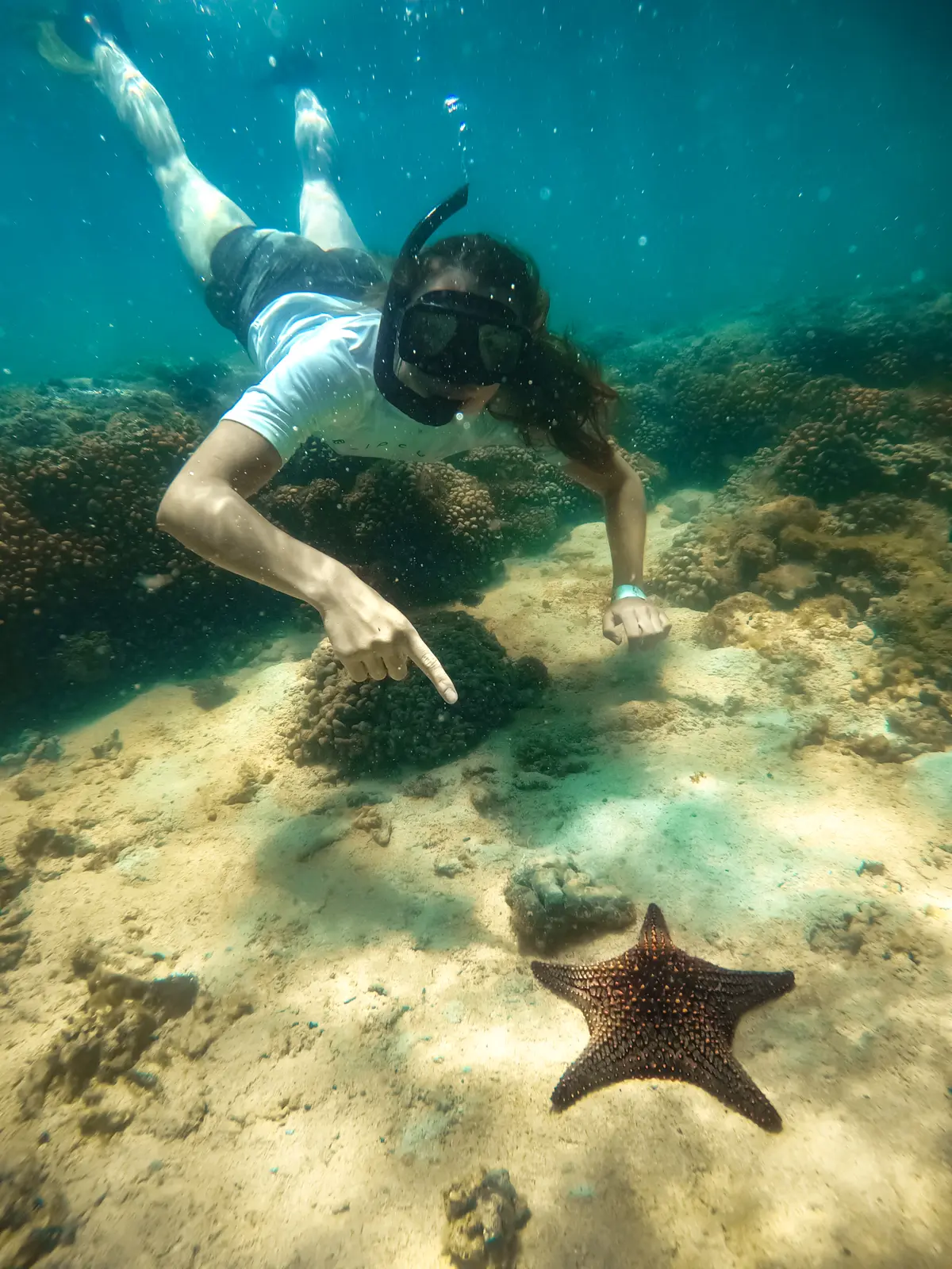 A snorkeler dives down to point at a starfish on the sandy seafloor