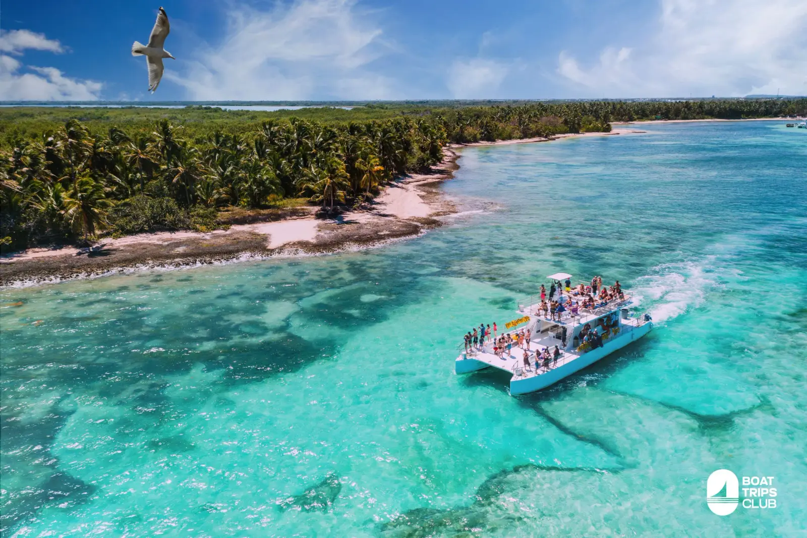Aerial view of a double-deck catamaran packed with guests in turquoise water off a palm-lined Punta Cana coast