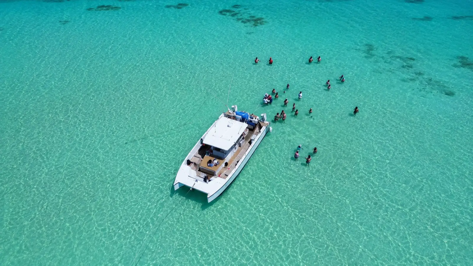Private catamaran anchored in turquoise shallows with guests in the water on a Saona Island day trip