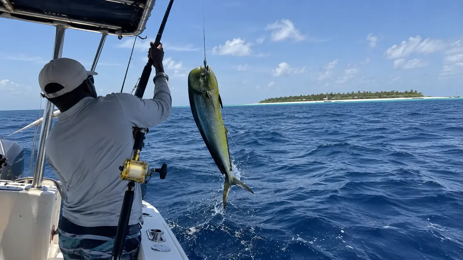Zanzibar Mahi-Mahi Catch at Sea

