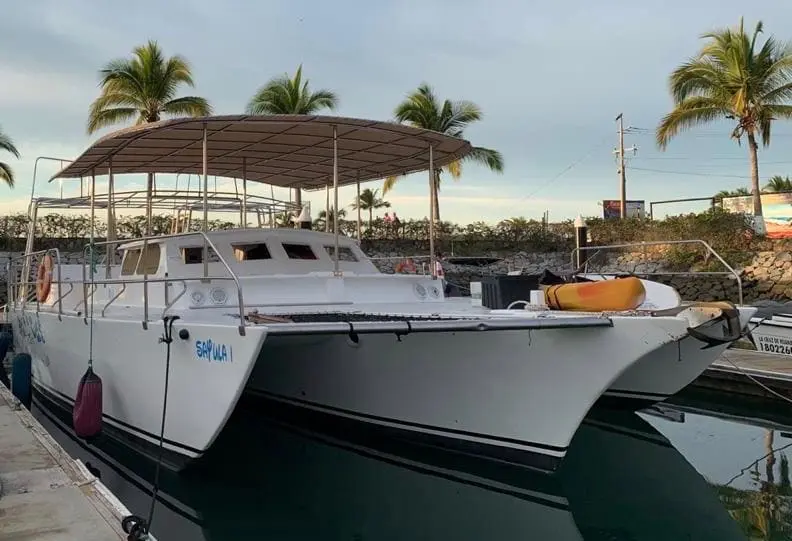 Trimaran with a tan canopy over its deck, moored at a palm-lined marina in Puerto Vallarta