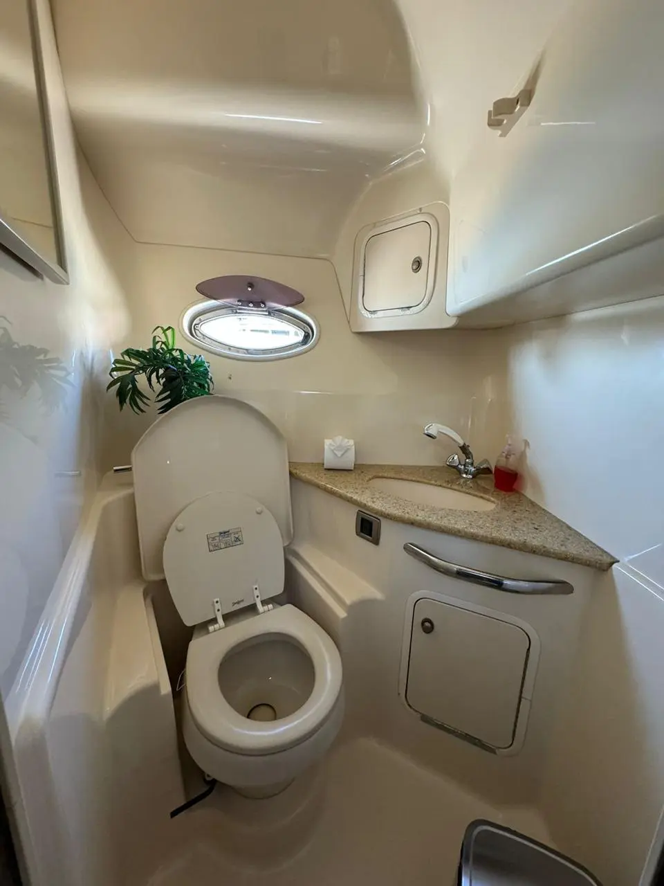 Compact yacht bathroom with a toilet, corner sink, round porthole and a small plant